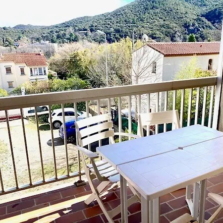 F2 Avec Balcon à Amélie-les-bains - 2 Couchages, Animaux Acceptés, Bien équipé - Fr-1-703-64 Amélie-les-Bains-Palalda