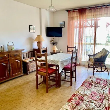 Apartamento F2 Avec Balcon à Amélie-les-bains - 2 Couchages, Animaux Acceptés, Bien équipé - Fr-1-703-64