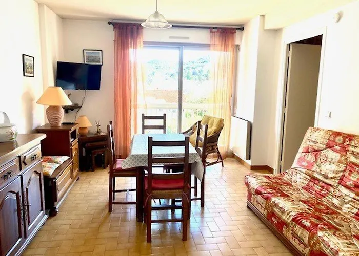 F2 Avec Balcon A Amelie-les-bains - 2 Couchages, Animaux Acceptes, Bien Equipe - Fr-1-703-64 Apartment *