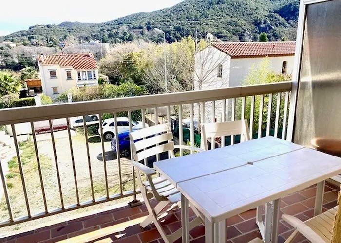 F2 Avec Balcon A Amelie-les-bains - 2 Couchages, Animaux Acceptes, Bien Equipe - Fr-1-703-64 Amélie-les-Bains-Palalda
