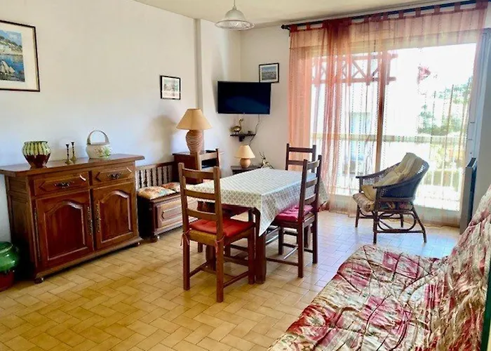 Apartment F2 Avec Balcon A Amelie-les-bains - 2 Couchages, Animaux Acceptes, Bien Equipe - Fr-1-703-64